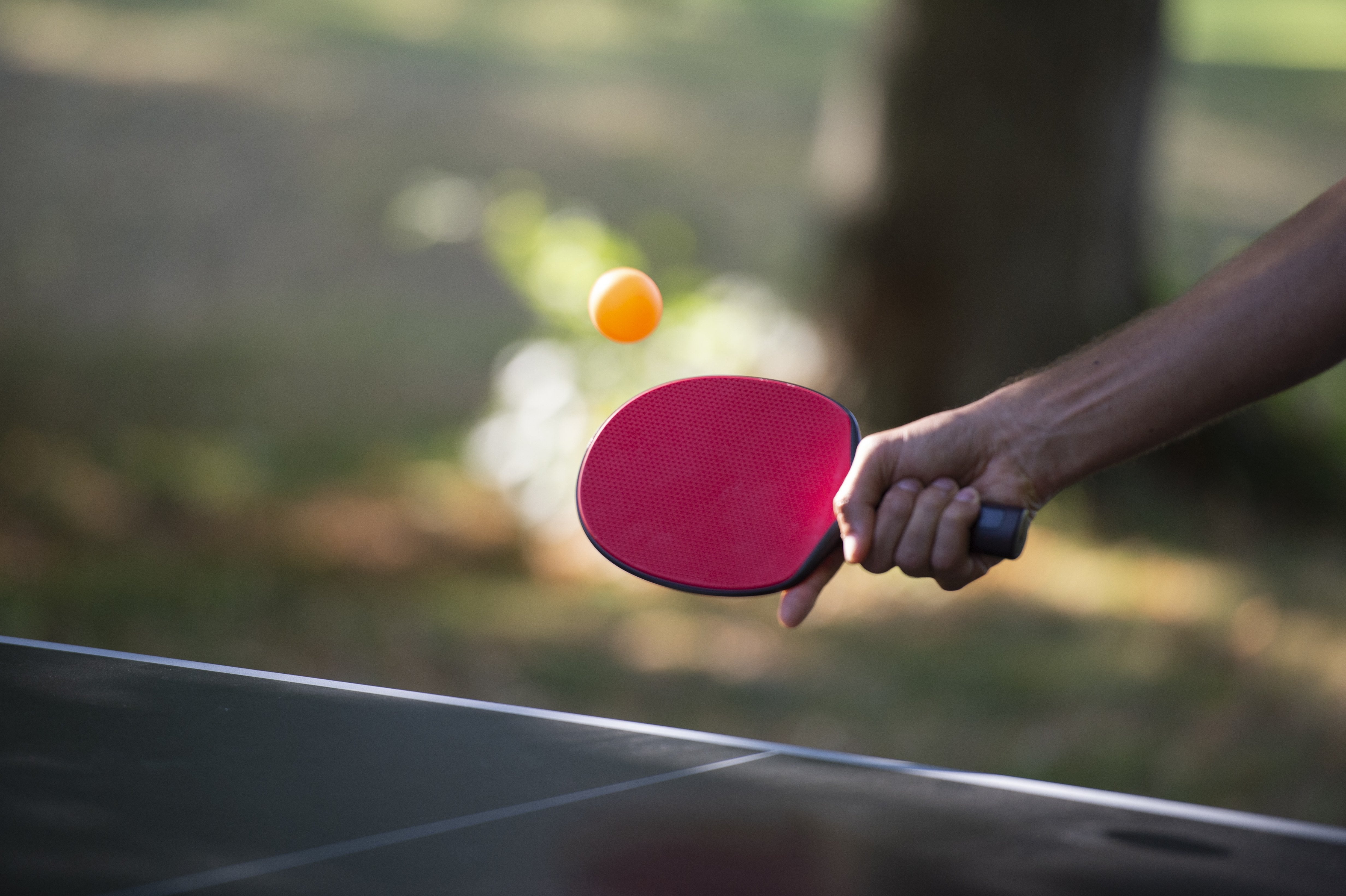 SPORTS DE RAQUETTE