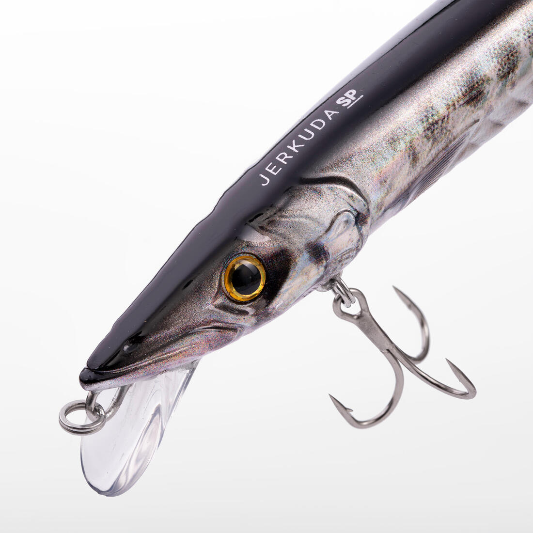 IMG_8804788_3