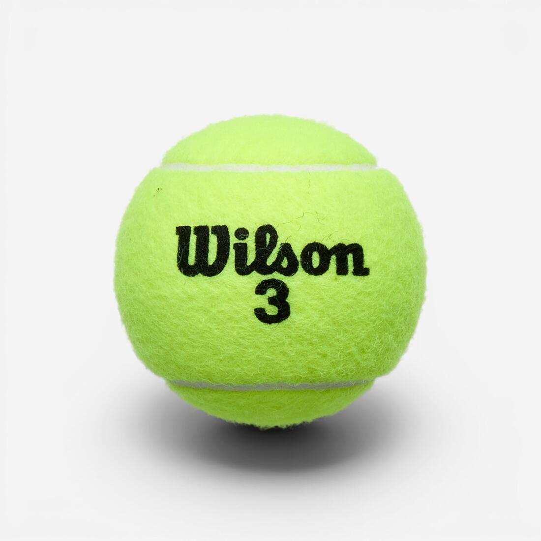 IMG_1008585817_3