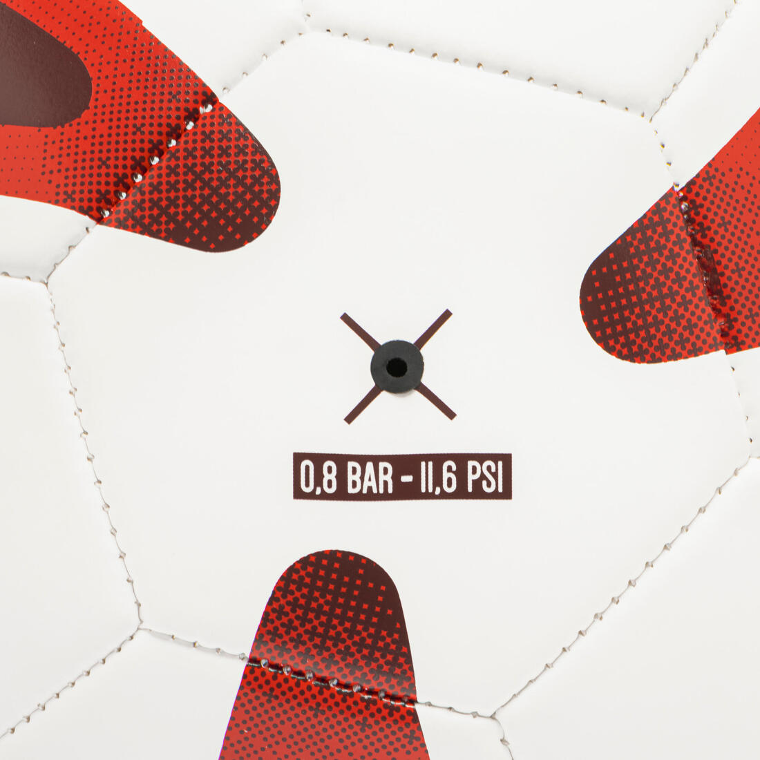 IMG_8949590_4