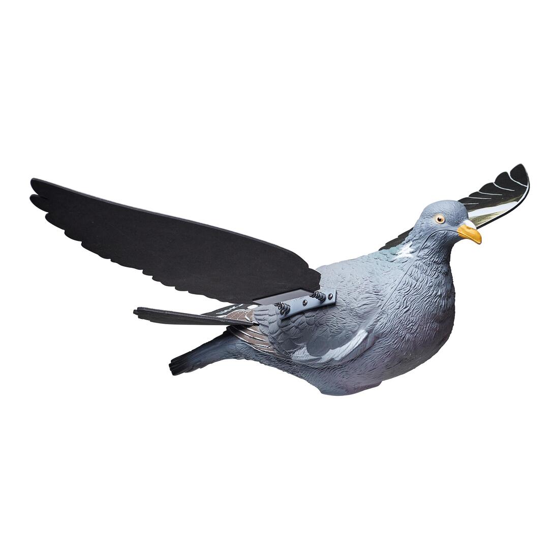 IMG_2308031