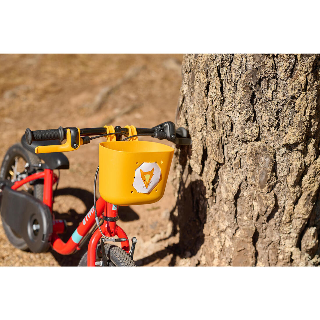 IMG_8842932_6