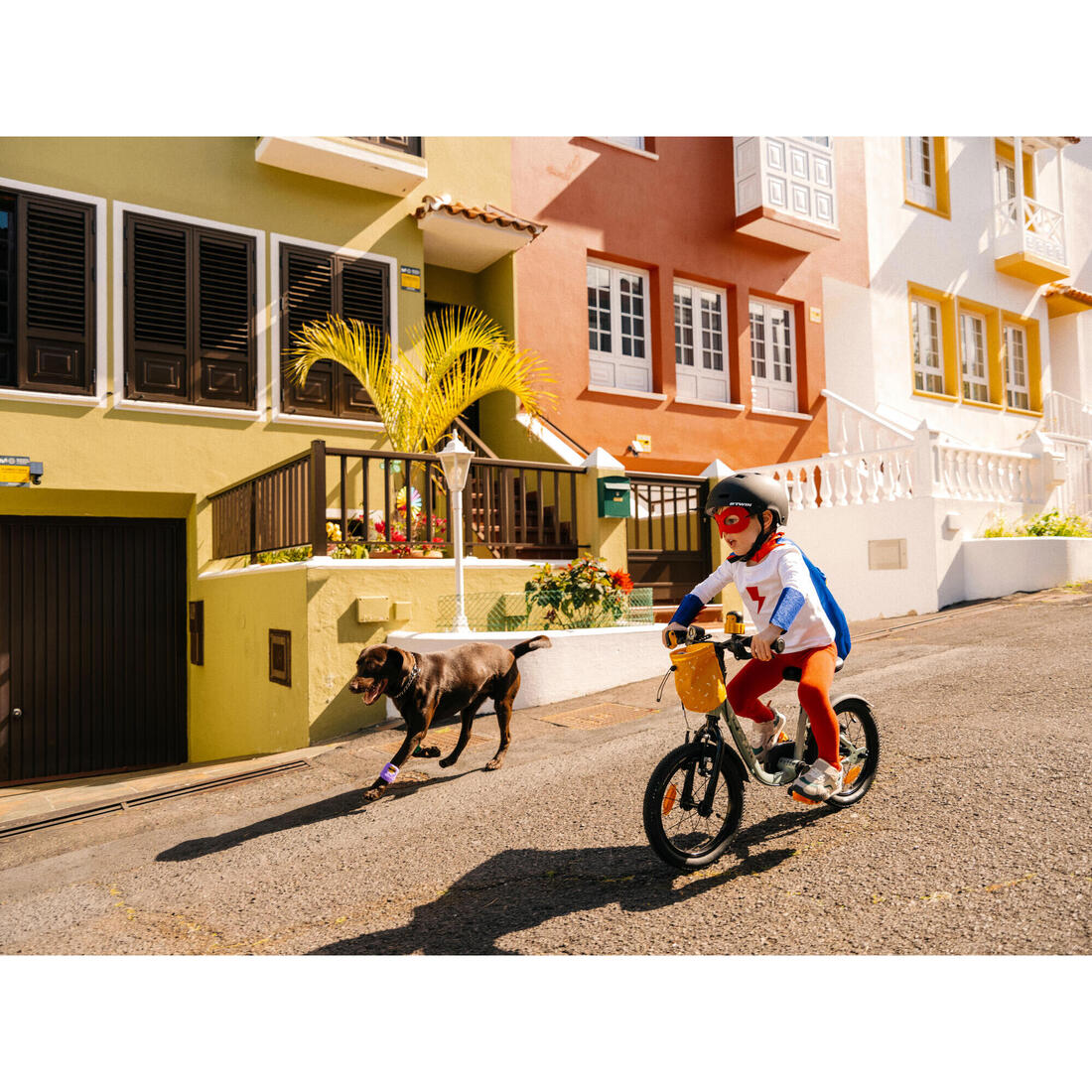 IMG_8578900_10