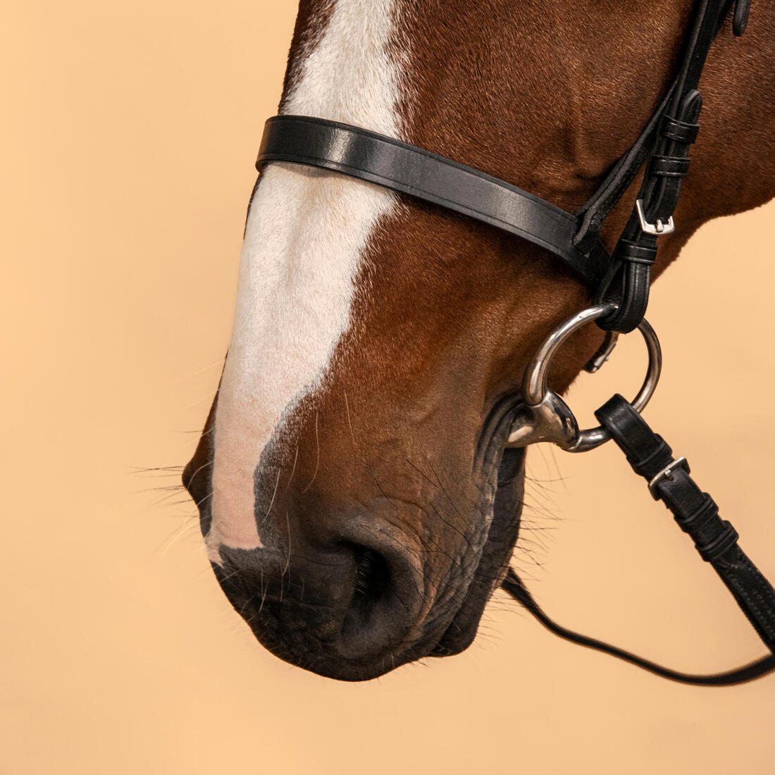 IMG_8339776_6