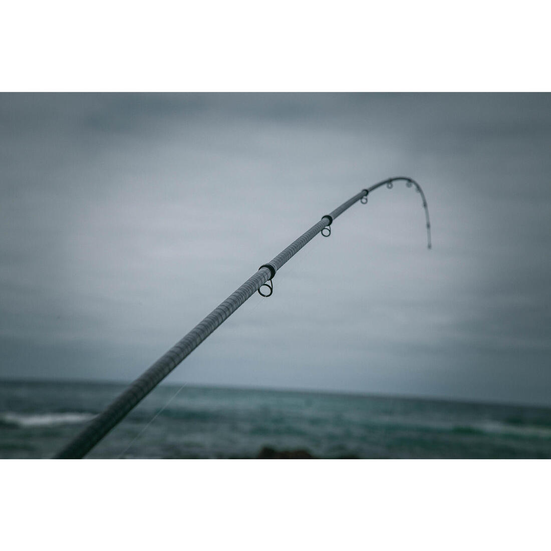 IMG_2312673