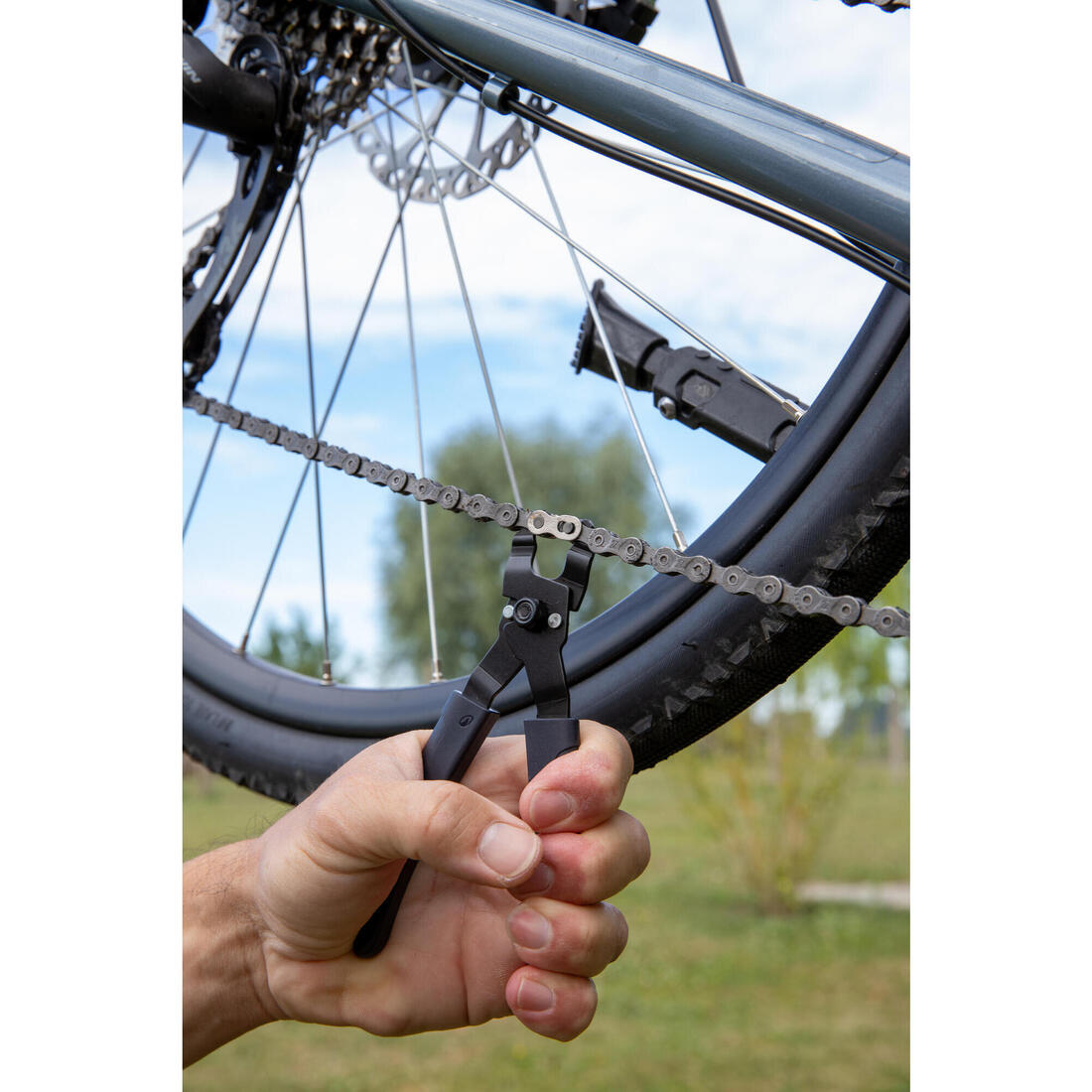 IMG_5933615_2