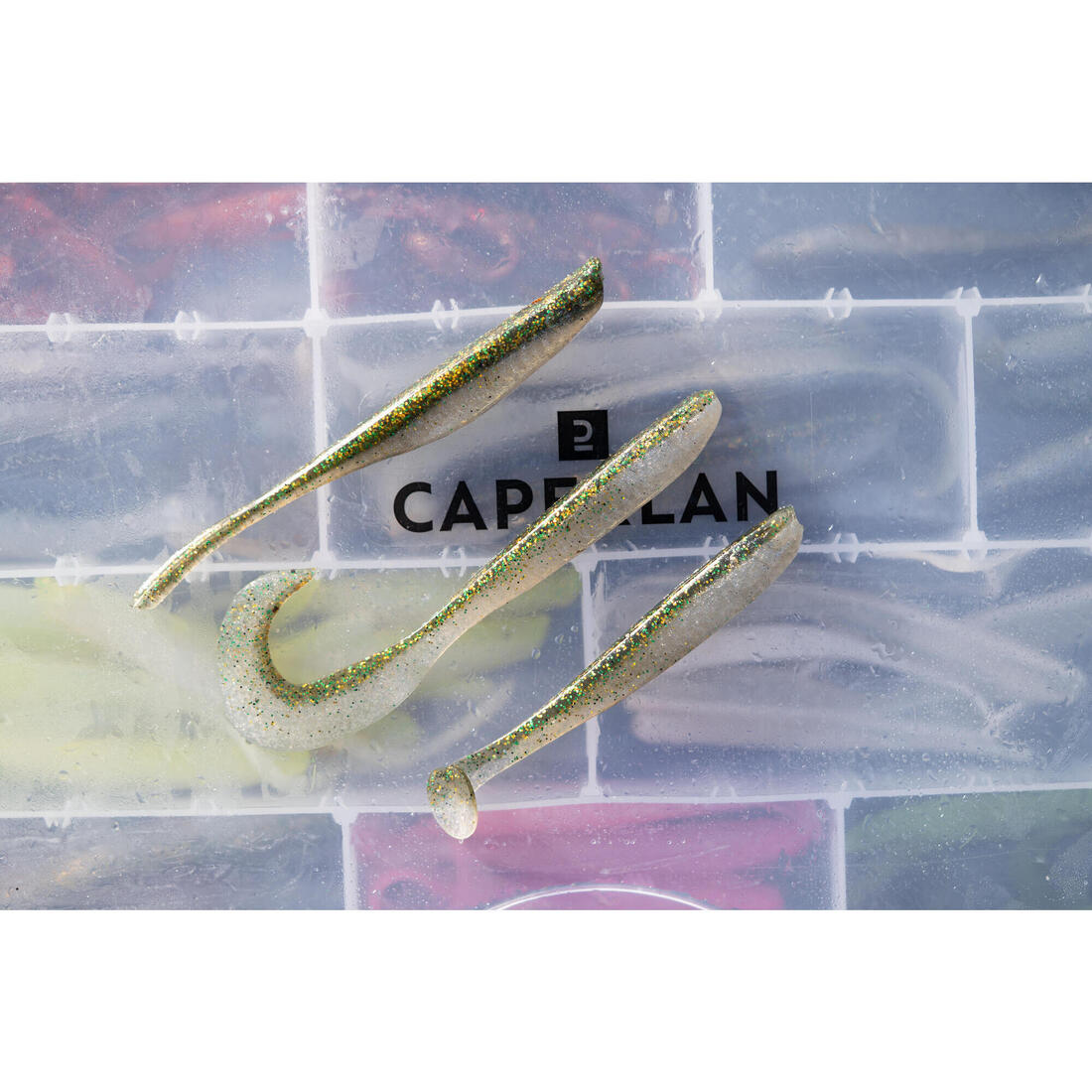 IMG_8737165_9