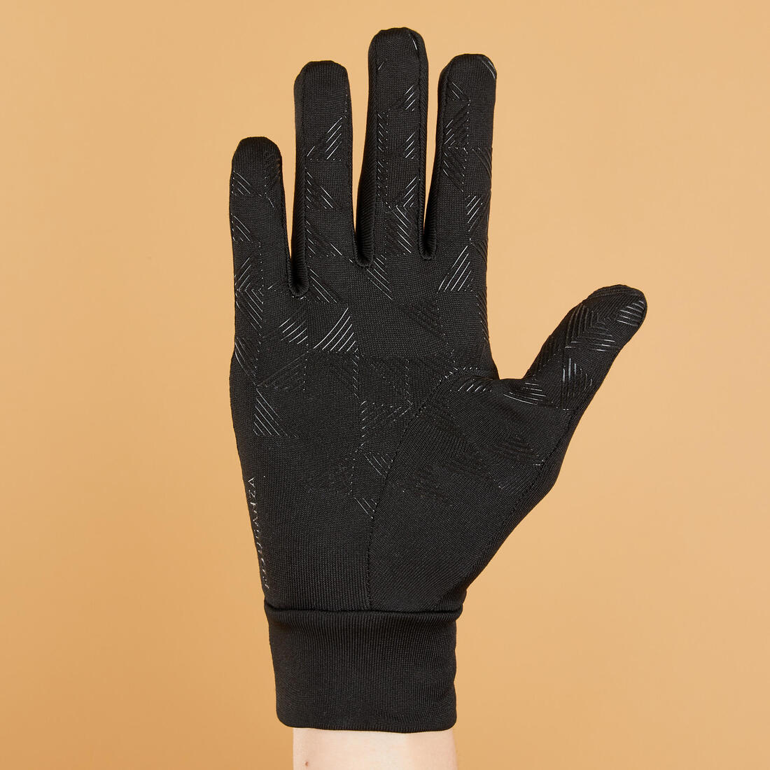 IMG_8579900_3