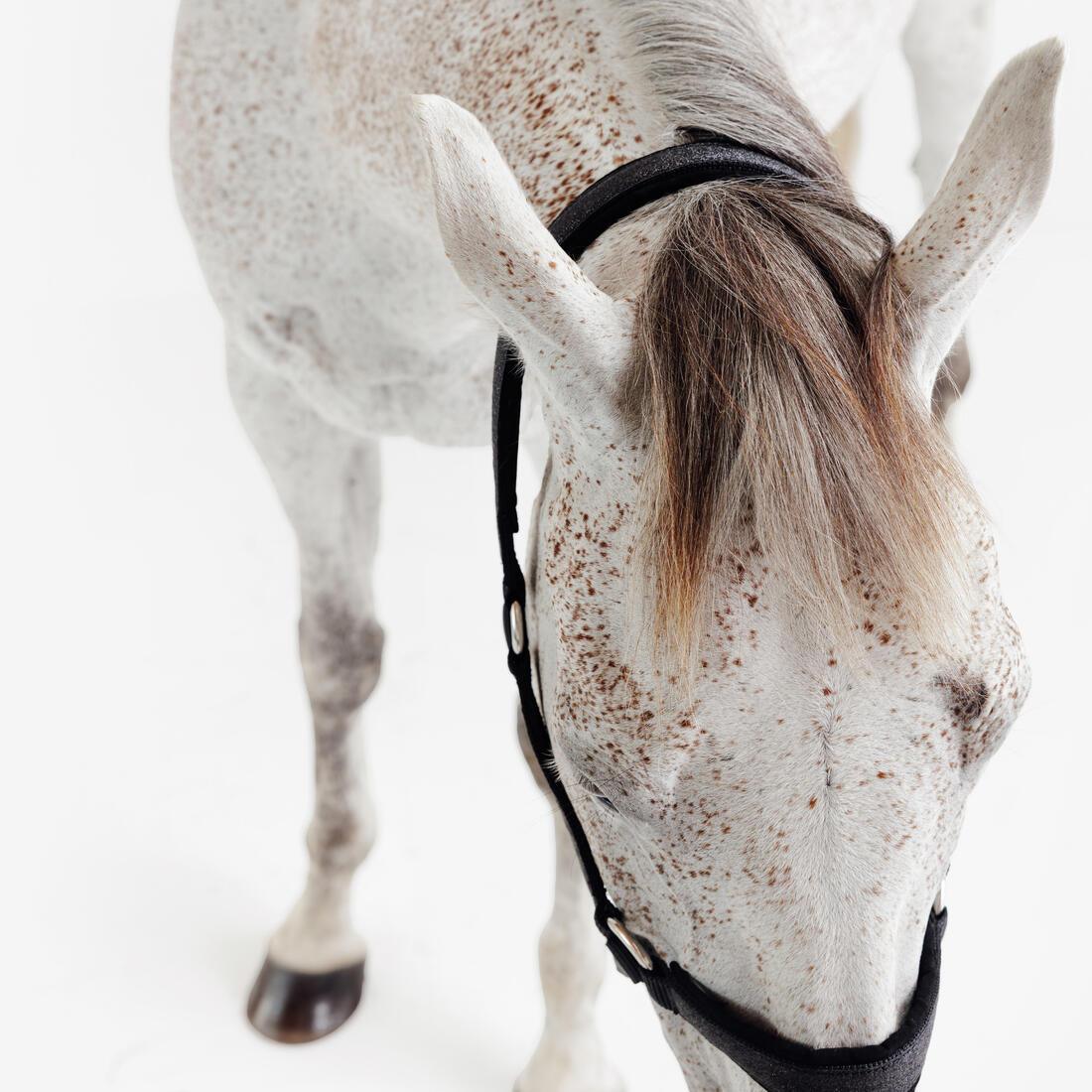 IMG_3009776