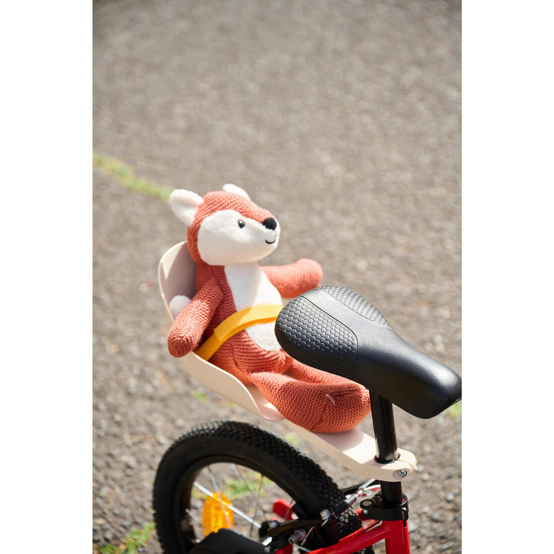 IMG_8843561_8