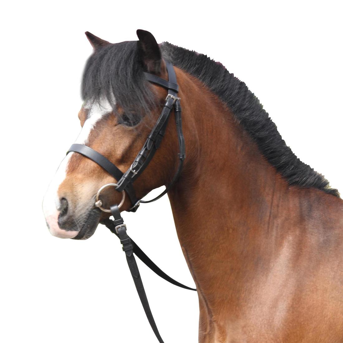 IMG_8339776_20