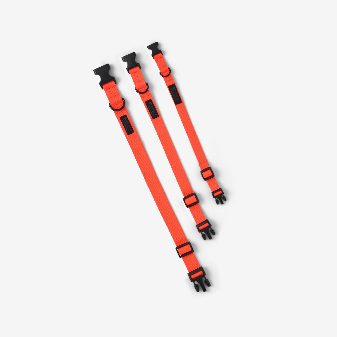 IMG_8808001_6