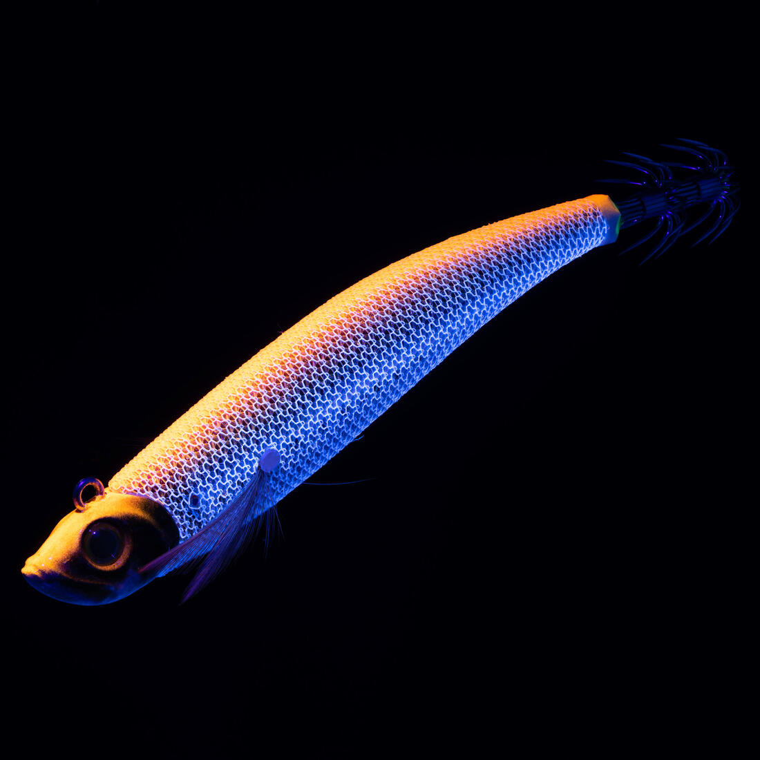 IMG_8646618_5