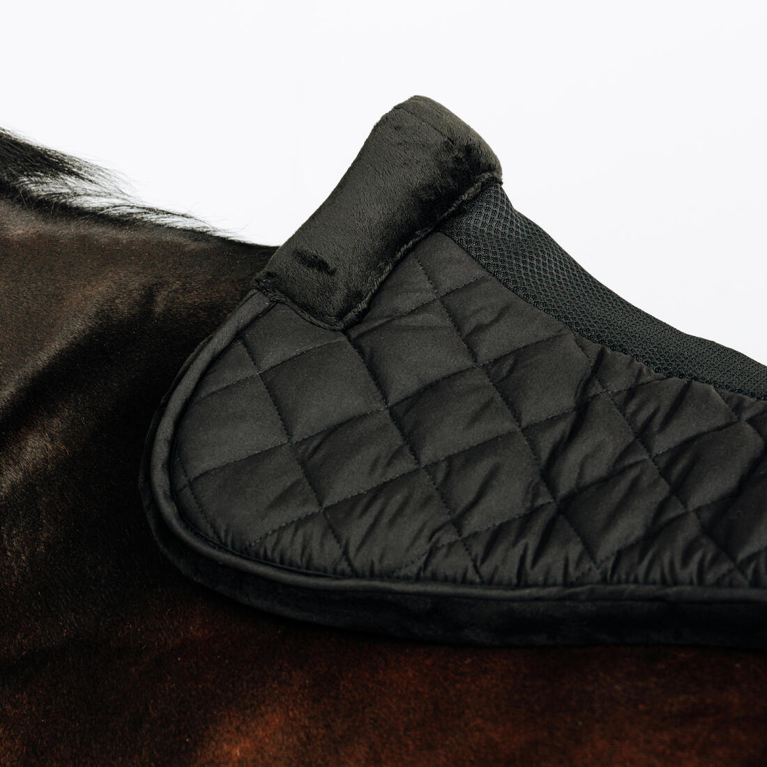 IMG_8881127_3