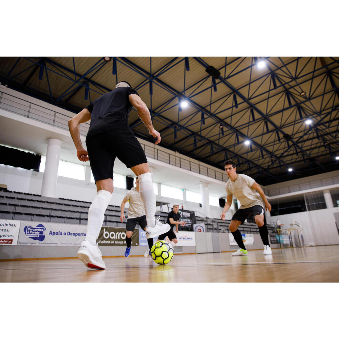 IMG_2495484