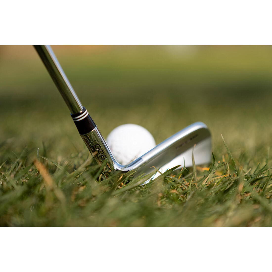 IMG_8563177_11