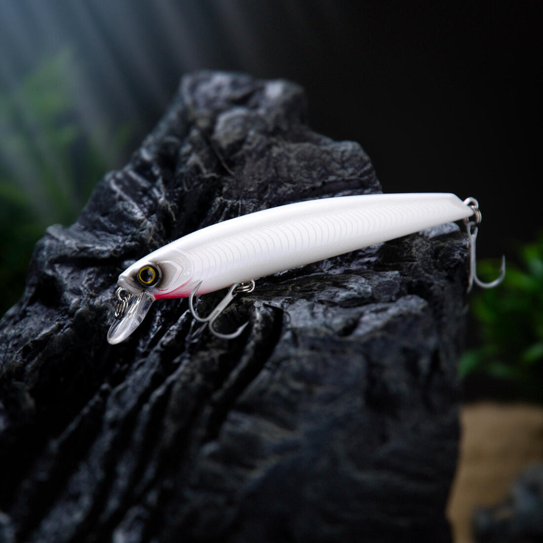 IMG_8606228_3
