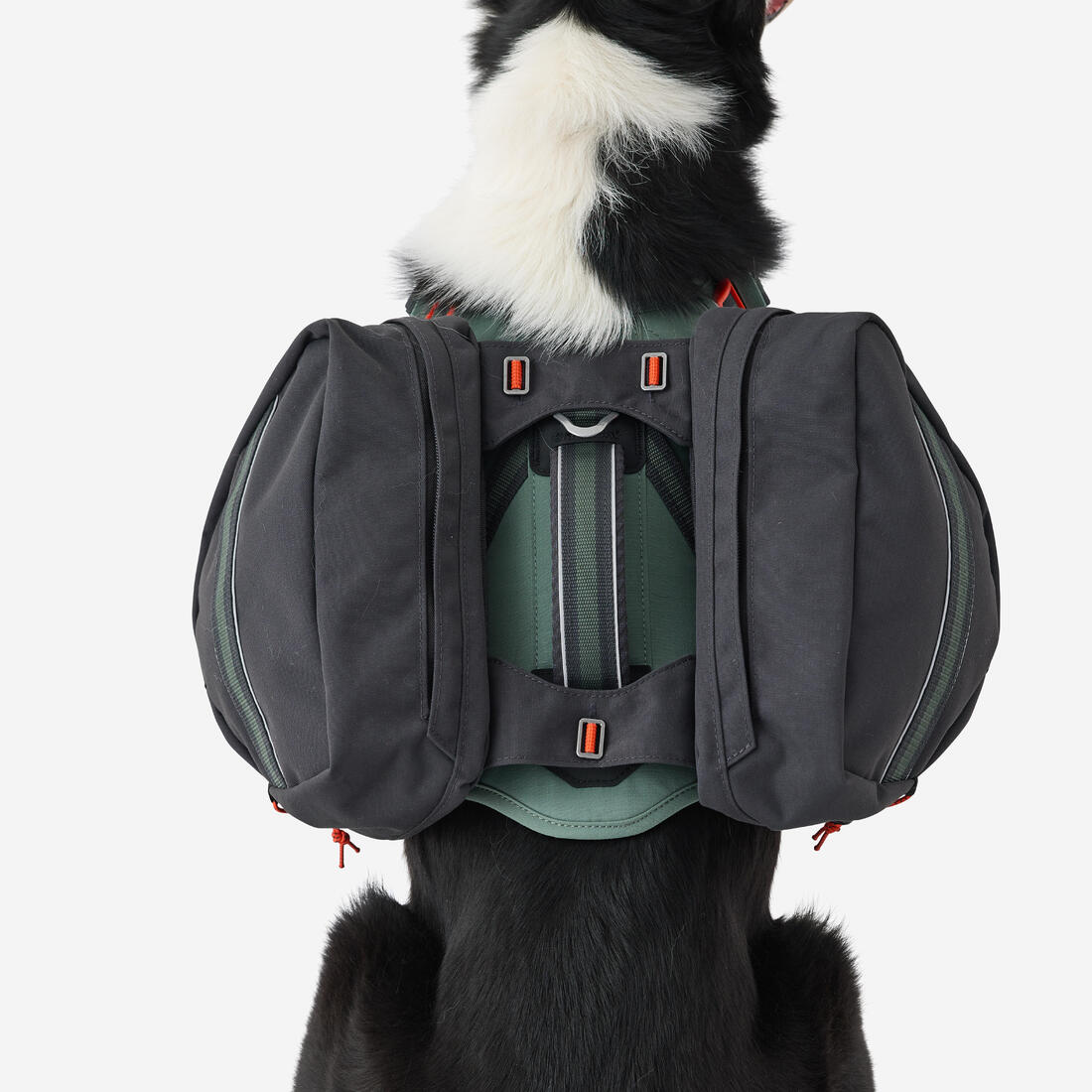 IMG_2819831