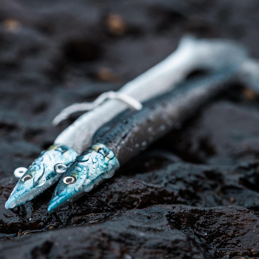 IMG_8645699_5