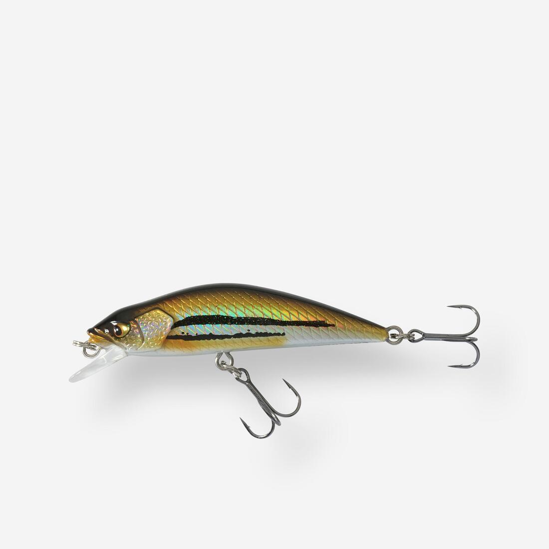 IMG_8573629_8