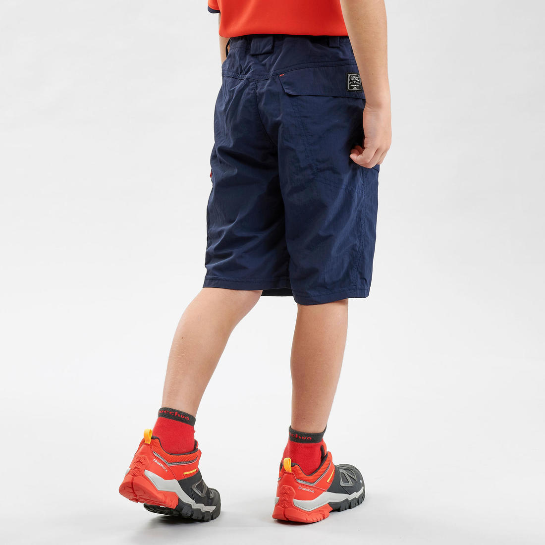 IMG_8569531_2