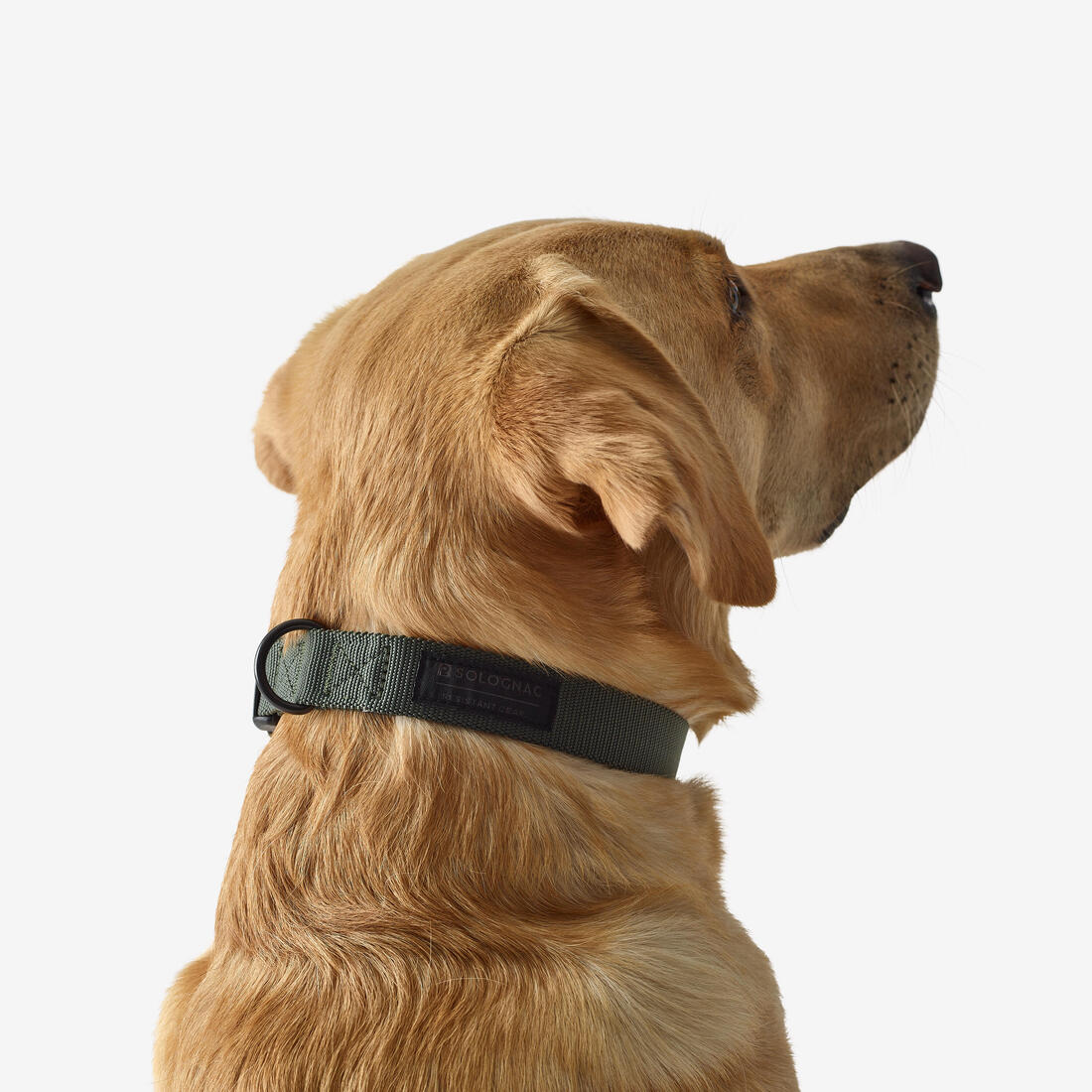IMG_8808003_3
