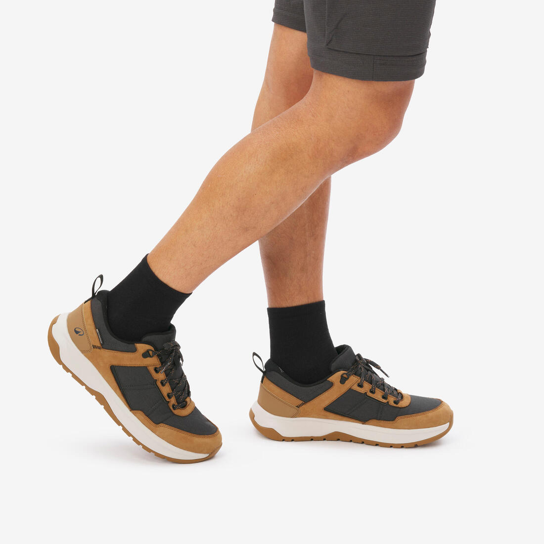 IMG_8955718_7