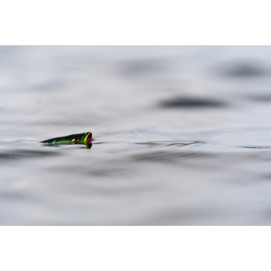 IMG_1967241