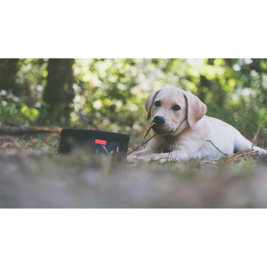 IMG_1585793