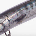 IMG_2653162