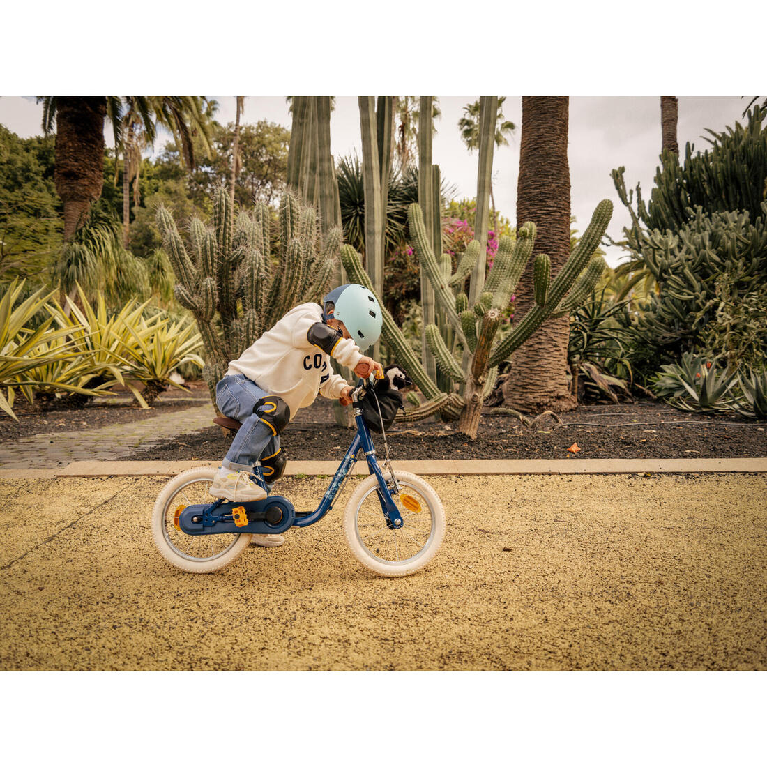 IMG_8650736_14