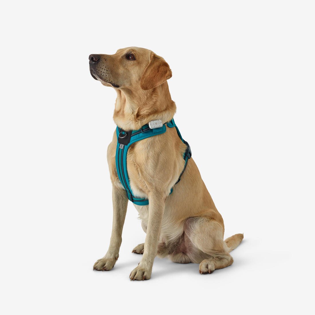 IMG_8807802_8