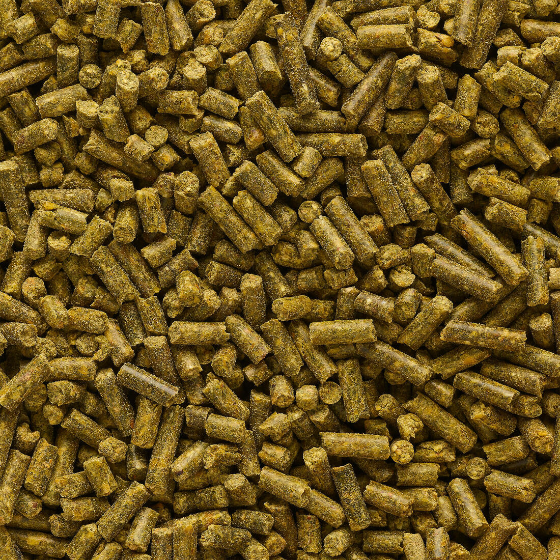 IMG_8774956_2