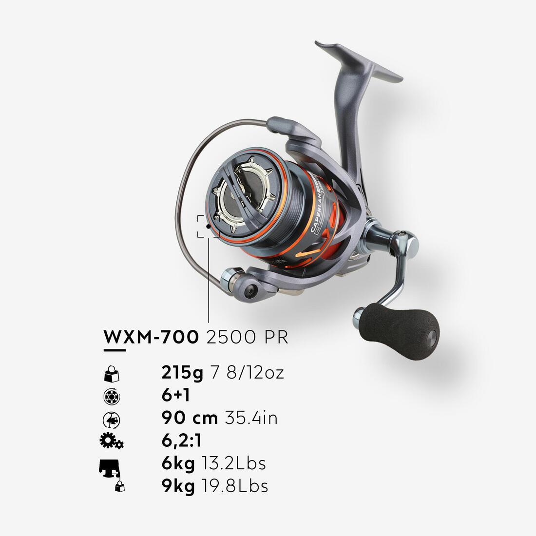 IMG_8784352_2