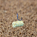 IMG_1986853