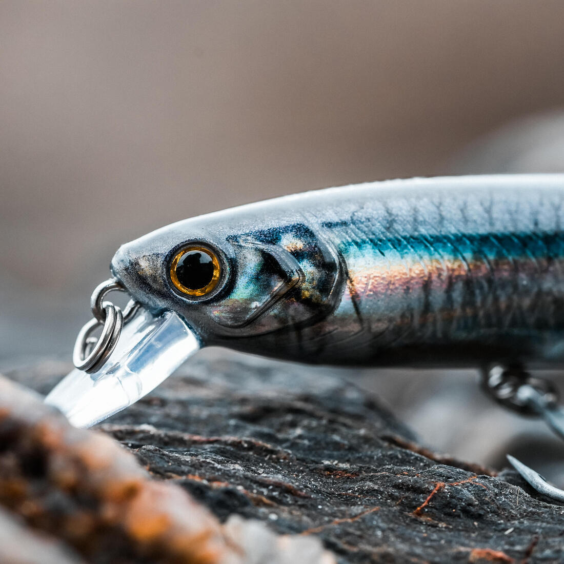 IMG_8734821_2
