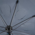 IMG_2406845