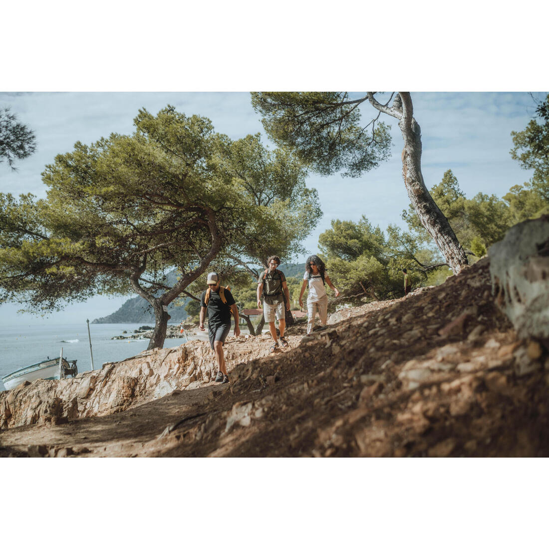 IMG_8803962_6