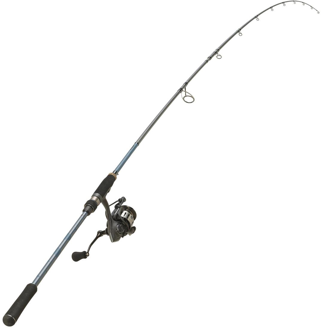 IMG_2226624