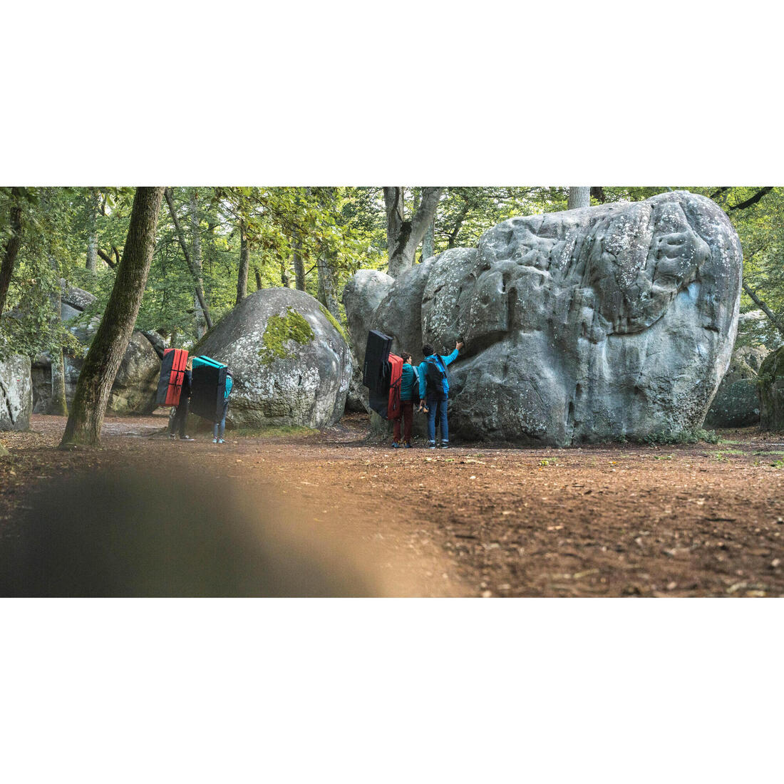 IMG_8756495_14