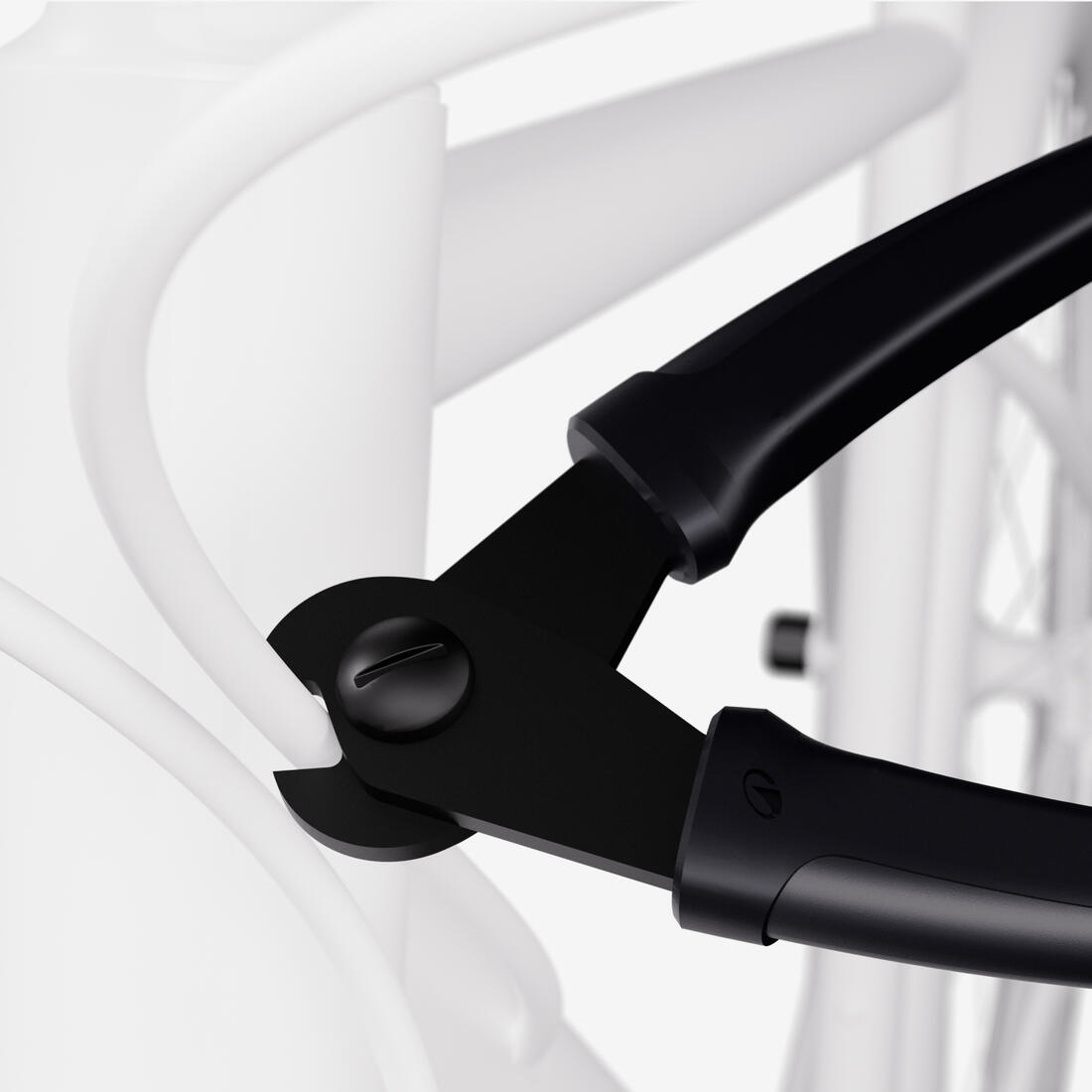 IMG_8938263_5