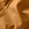 IMG_2751721
