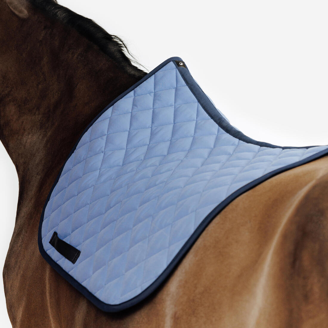 IMG_8919165_3