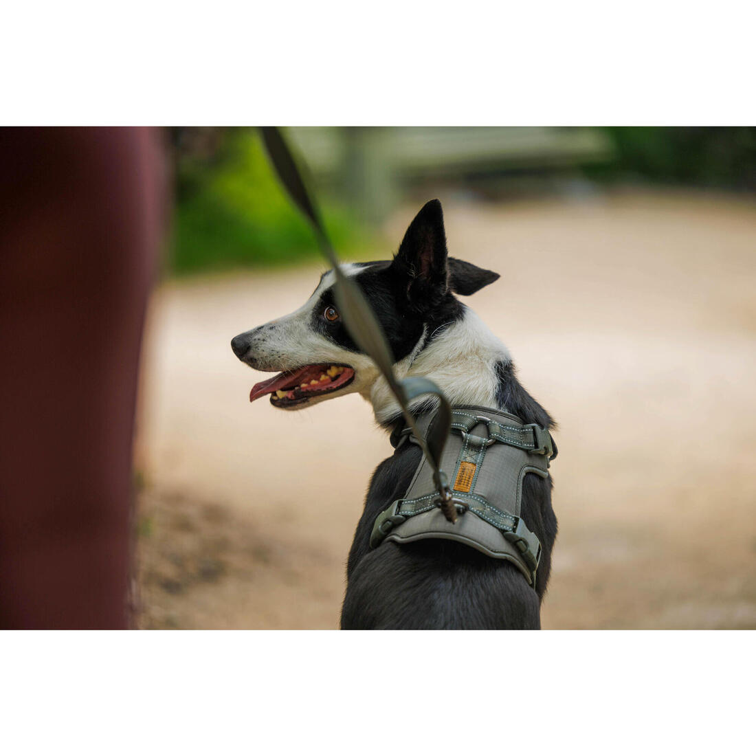 IMG_8807989_8