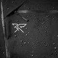 IMG_2937911