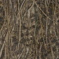 IMG_2387095