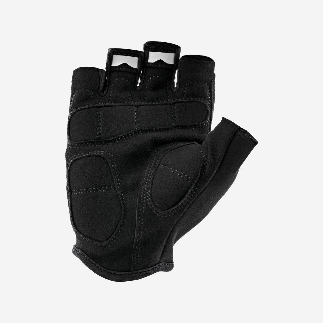 IMG_8901066_2
