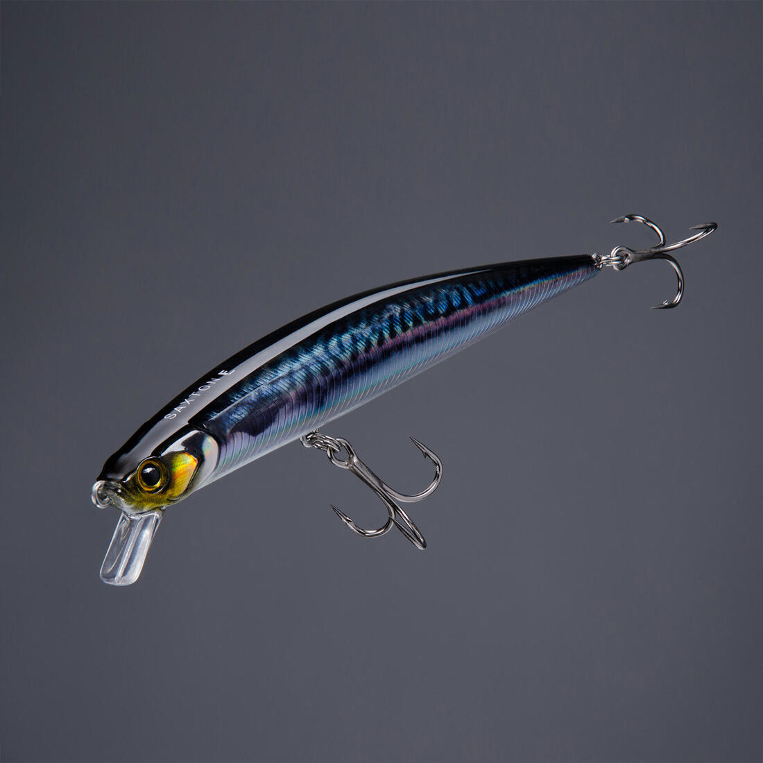 IMG_8589098_2