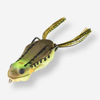 8831981