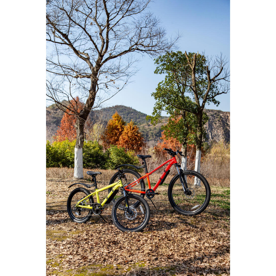 IMG_8615206_8